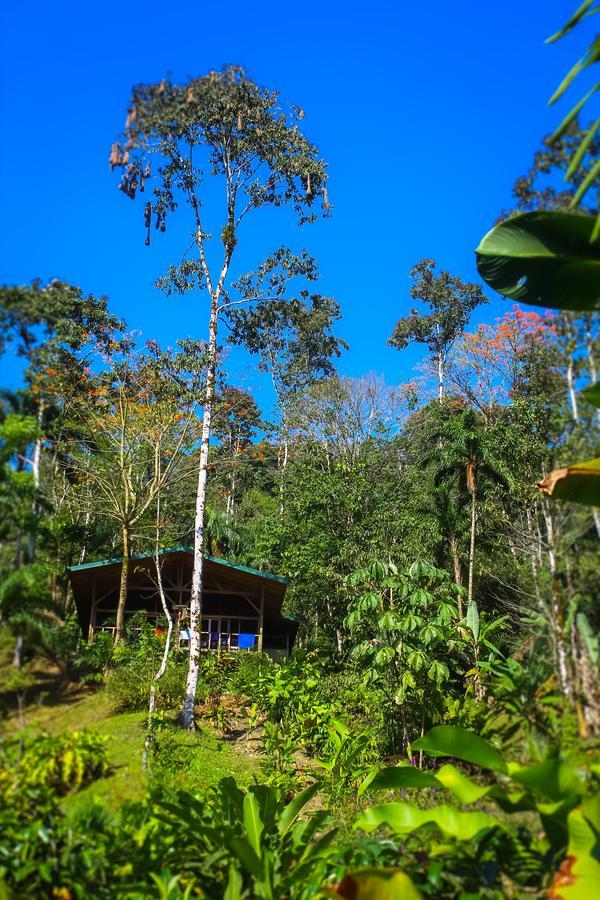 Hotel Pacuare Outdoor Center Turrialba Exterior foto